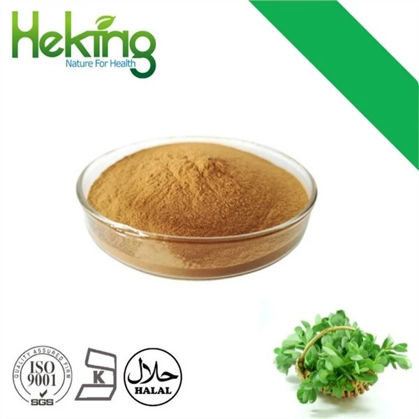 Purslane Ekstrè
